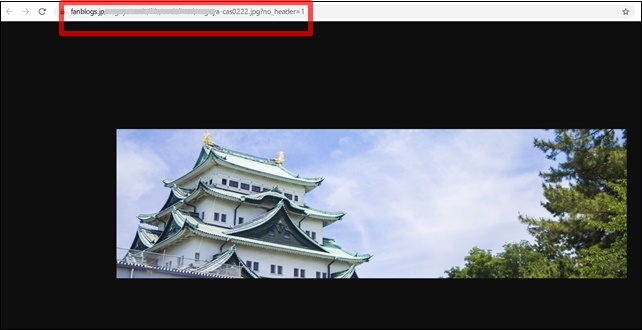 ファンブログ画像URL表示